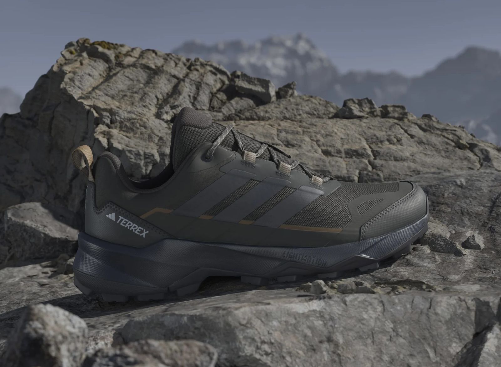 Pantofi ADIDAS TERREX SKYCHASER AX5 bărbați - Rock Point